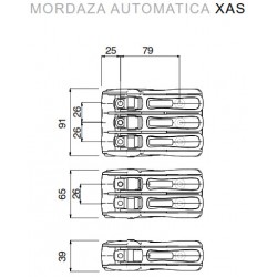 XAS simple 6-12